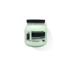 INDIGO ICYMINT CONDITIONER